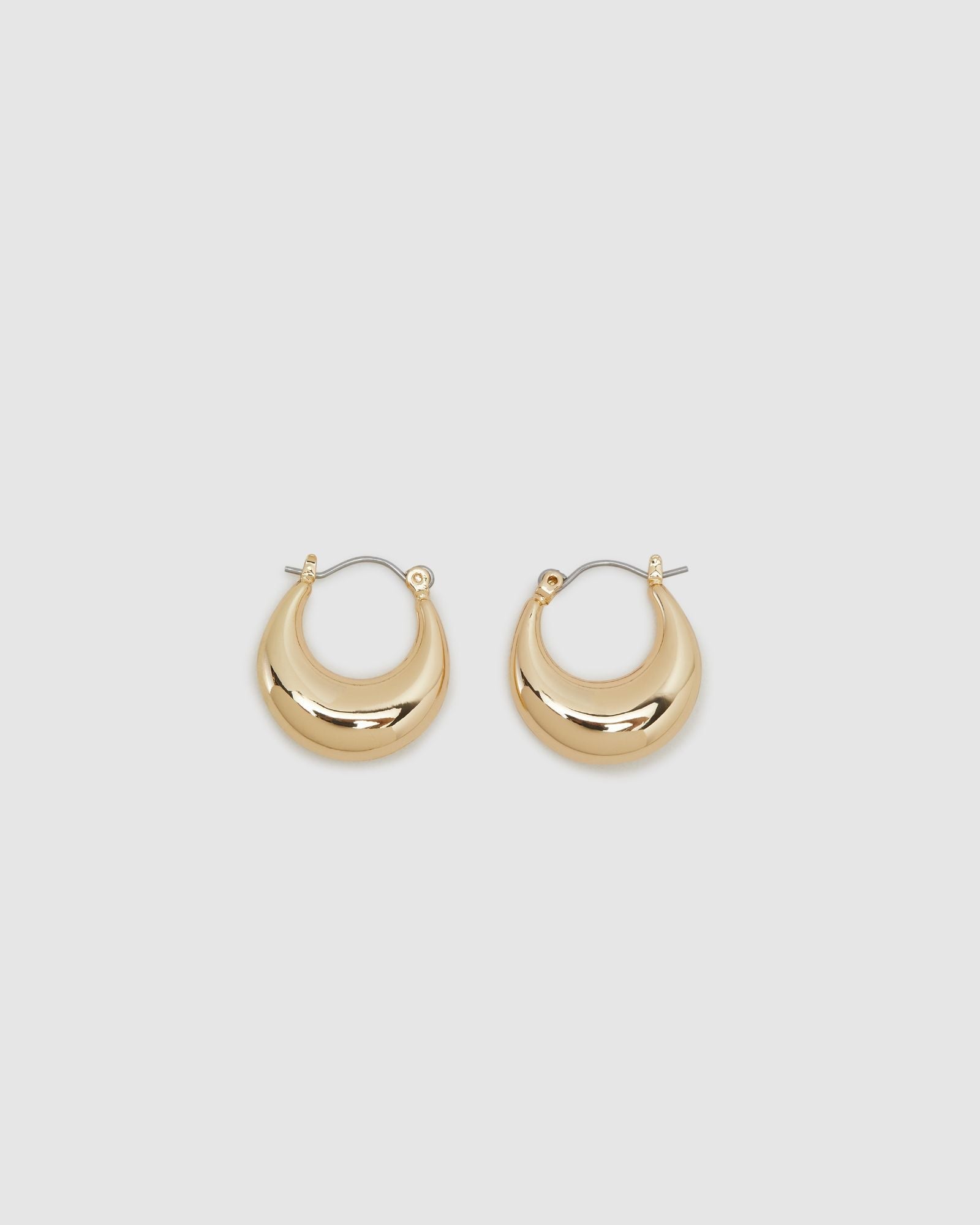 Gabriela Chunky Hoop Earring